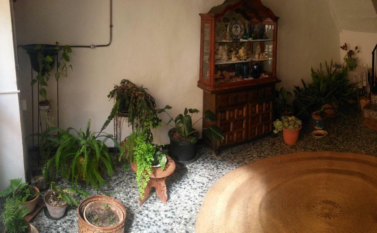 Apartment Rural